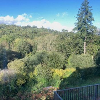La vue sur la foret depuis la maison de Cath et Pete