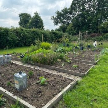 Le jardin potager de Sarah et Brian