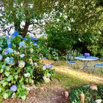 table ronde de jardin en métal avec ses deux chaises dans un beau jardin ensoleillé