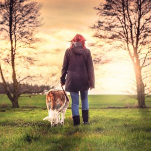 balade avec le chien