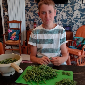 dépiautage d'haricots pour plats anglais traditionnels en France