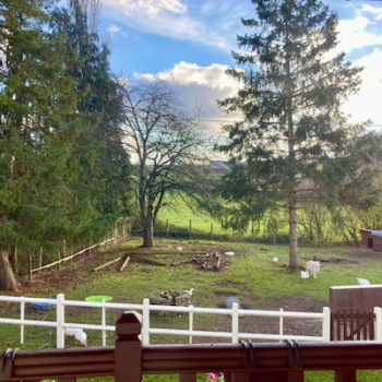 jardin de campagne immersion linguistique anglaise en france