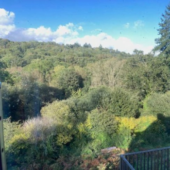 La vue sur la foret depuis la maison de Cath et Pete