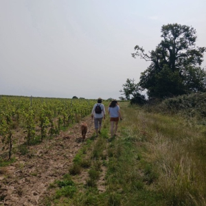 Séjour immersif anglais à la campagne chez des américaines en France