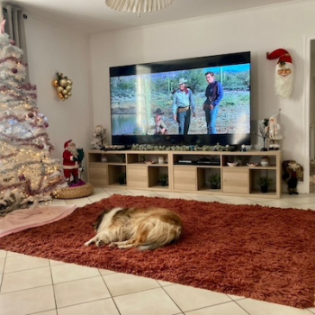 films anglais et jeux vidéos en séjour linguistique